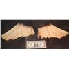 Image 1 : WINGS FROM UNKNOWN MAQUETTE