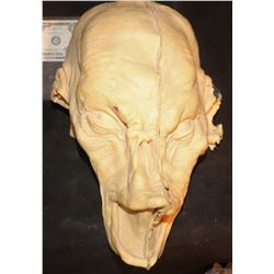 CREATURE ALIEN DEMON UNUSED MASK