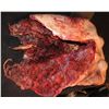 Image 2 : ALIEN VS PREDATOR REQUIEM PREGNANT PREDALIEN BELLY AND BREASTS AFTER CHESTBURSTERS EXPLODE