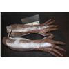 Image 1 : VOODOO DEMON ALIEN CREATURE ARMS WITH HANDS WEARABLE