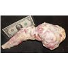 Image 1 : ALIEN RESURRECTION LAB FETUS SILICONE?