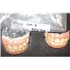 Image 1 : SCARY MOVIE 3 SCREEN USED HULK TEETH WITH MASTERS