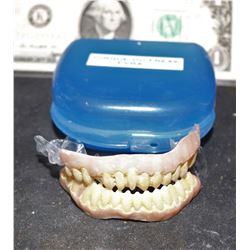 CIRQUE DU FREAK THE VAMPIRES ASSISTANT EVRA TEETH