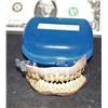 Image 1 : CIRQUE DU FREAK THE VAMPIRES ASSISTANT EVRA TEETH