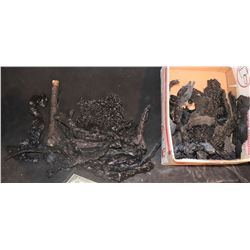 THE THING BURNT ALIEN REMNANTS HORDE