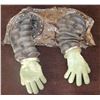 Image 1 : BUBBLE BOY SCREEN USED ARMS WITH GLOVES JAKE GYLLENHAAL 3