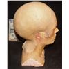 Image 2 : IT PENNYWISE HEAD APPLIANCE ON BILL SKARSGARD LIFE CAST 2