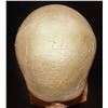 Image 3 : IT PENNYWISE HEAD APPLIANCE ON BILL SKARSGARD LIFE CAST 2