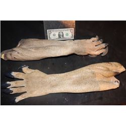 DEMON ALIEN CREATURE ARMS WITH CLAWS HERO AND STUNT LEFT