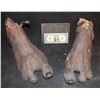 Image 1 : MORTAL KOMBAT GORO PAIR OF FEET 3