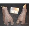 Image 1 : MORTAL KOMBAT GORO PAIR OF FEET  2