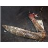 Image 2 : STARSHIP TROOPERS BRAIN BUG MOUTH CLAW SCREEN MATCHED 1