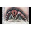 Image 3 : STARSHIP TROOPERS BRAIN BUG MOUTH CLAW SCREEN MATCHED 2