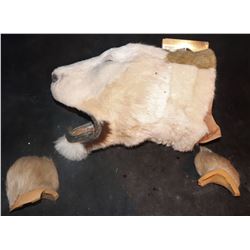 JUMANJI LION HEAD SKIN WITH EARS