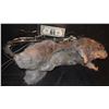 Image 1 : RAT ANIMATRONIC PUPPET