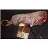 Image 2 : RAT WITH HEAD TORN OFF ANIMATRONIC PUPPET