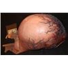 Image 2 : ALIEN VS PREDATOR PREGNANT PREDALIEN BELLY AND BREASTS WEARABLE SILICONE SUIT