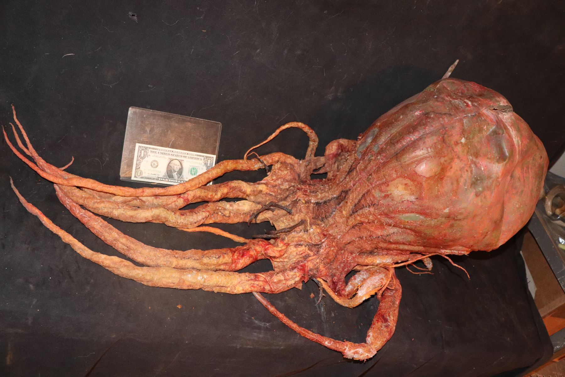 THE THING ALIEN CREATURE?