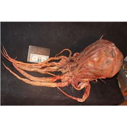 THE THING ALIEN CREATURE?