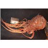 Image 1 : THE THING ALIEN CREATURE?