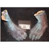 Image 1 : EVOLUTION BLUE PRIMATE FEET MATCHED PAIR 3