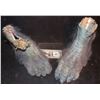 Image 1 : EVOLUTION BLUE PRIMATE FEET MATCHED PAIR 7
