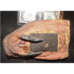 TREMORS GRABOID TONGUE THAT EXTENDS FROM MOUTH 1