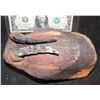 Image 2 : TREMORS GRABOID TONGUE THAT EXTENDS FROM MOUTH 1