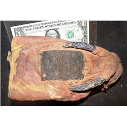 TREMORS GRABOID TONGUE THAT EXTENDS FROM MOUTH 2