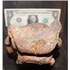 Image 3 : TREMORS GRABOID TONGUE THAT EXTENDS FROM MOUTH 2