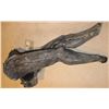 Image 4 : ALIEN VS PREDATOR ALIEN RESURRECTION SCREEN USED STUNT, SHOT, AND DEAD ALIEN CUT IN HALF