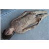 Image 3 : X-MEN ORIGINS WOLVERINE JASON STRYKER FROZEN BODY SCREEN MATCHED