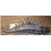 Image 1 : ALIEN VS PREDATOR PREDALIEN XENOMORPH STUNT TOP SPINAL BACK HORN