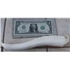 Image 2 : ALIENS 1/3 SCALE WARRIOR LARGE HORN HORN