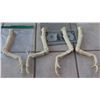 Image 1 : ALIEN QUEEN PUPPET INNER ARM CASTINGS