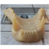 Image 1 : ALIEN QUEEN UPPER JAW CASTING LIFE SIZE PUPPET 1