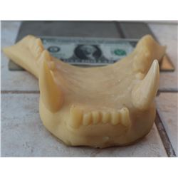 ALIEN QUEEN UPPER JAW CASTING LIFE SIZE PUPPET 2