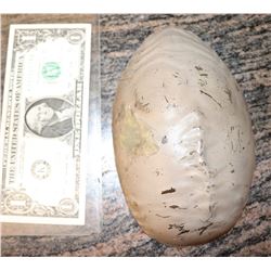 ALIEN EGG MINIATURE PAINTED VACUFORM 2