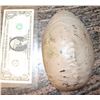 Image 1 : ALIEN EGG MINIATURE PAINTED VACUFORM 2