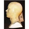 Image 2 : IT PENNYWISE ACTOR BILL SKARSGARD LIFE CAST 2