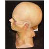 Image 2 : IT PENNYWISE HEAD APPLIANCE ON BILL SKARSGARD LIFE CAST 1