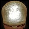 Image 4 : IT PENNYWISE HEAD APPLIANCE ON BILL SKARSGARD LIFE CAST 1