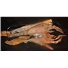 Image 2 : MY FAVORITE MARTIAN LARGE ALIEN ANIMATRONIC HANDS