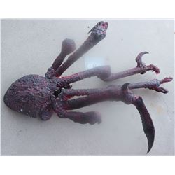 THE THING BURN ALIEN CREATURE