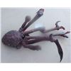 Image 1 : THE THING BURN ALIEN CREATURE