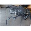 Image 1 : THE THING LIVING AND DEAD BURNT FROZEN PIECES