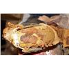 Image 3 : TREMORS GRABOID HERO TONGUE WITH JAWS VERY ROUGH