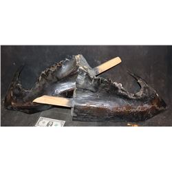 TREMORS GRABOID SET OF LOWER HOOK JAWS