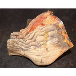 TREMORS AFTERSHOCK SHRIEKER SKULL JAW 3