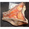 Image 3 : TREMORS AFTERSHOCK SHRIEKER SKULL JAW 3